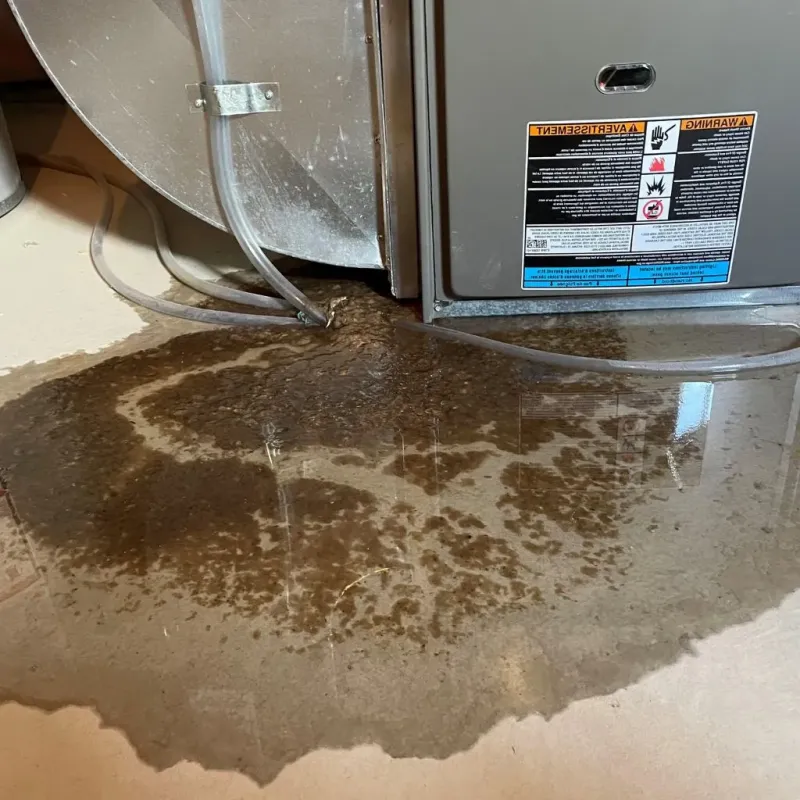 Pipe Burst and Leak Restoration in South Jordan Heights, UT